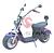 Scooter Elétrica 3000w (homologado)